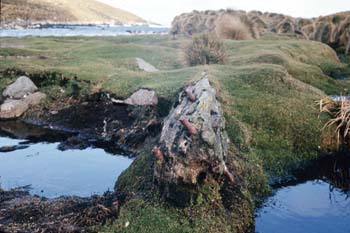 Wreckage at Monument Harbour Wreckage-Monument-Harbour